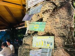 -泰堤坊(淡水体育馆店)