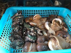 -云南巷海鲜大咖·可加工海鲜