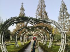 -昆山城市生态森林公园