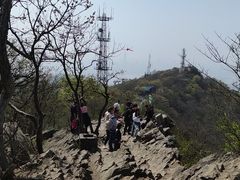 -紫金山天文台