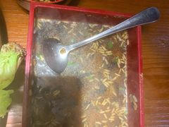 活鳗鱼与茶泡饭-鳗鱼家·深夜食堂(军博店)
