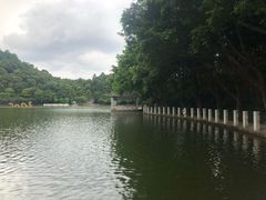 -西樵山风景名胜区-天湖公园