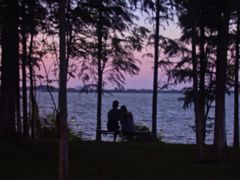 -瑶湖郊野森林公园