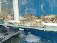 -渔民船说·北塘海鲜·天津菜·海肠捞饭(北塘古镇店)