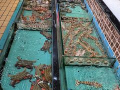 -鸿鑫海鲜楼(建联店)