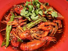 -红辣椒·川菜·火锅(张杨路店)