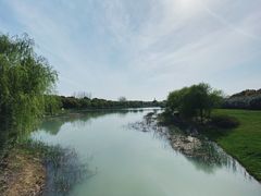 -贡湖湾湿地公园