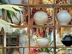-自由生长植物工作室(深港花卉中心店)