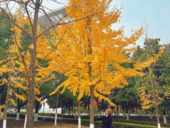 -仙林宾馆-餐厅