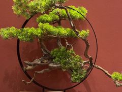 -金狮麟·新豫菜(金码大厦店)