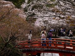 -醍醐寺