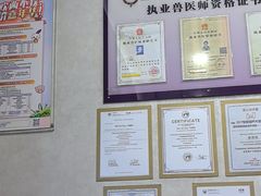 -宠爱国际动物医院·疑难骨科·心肾内科·皮肤科(太阳宫店)