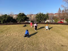 -上海财经大学(国定路校区)