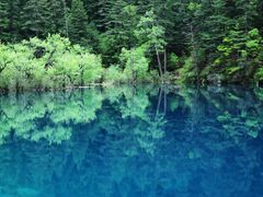 -九寨沟-树正沟