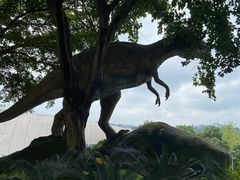 -自贡恐龙博物馆