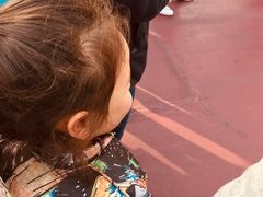 -海底巡游艇:尼莫和好友的海洋世界