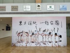 -盐城丹顶鹤湿地生态旅游区