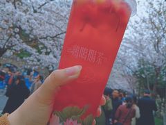 -鸡鸣赐茶(鸡鸣寺路店)