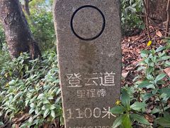 -梧桐山风景名胜区