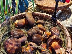 -滇铺子(欣都龙城店)