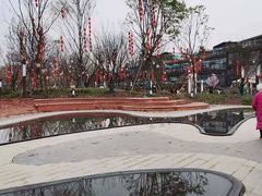 -三圣花乡旅游区