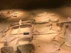 -洛阳周王城天子驾六博物馆