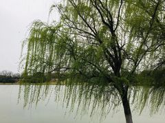 -钟山体育运动公园