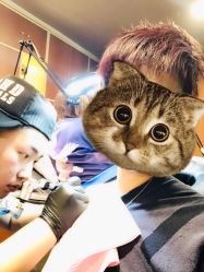 -见雾TATTOO STUDIO