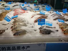 -麦德龙(京顺路商场店)