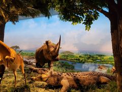 -国家自然博物馆