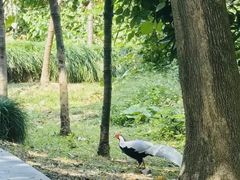 -福建鲤鱼洲酒店