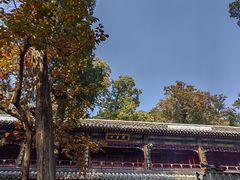 -潭柘寺景区