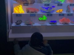 -湖南省地质博物馆