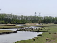 -溱湖国家湿地公园