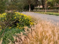 -永定河休闲森林公园