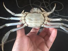 -乡乐园蟹庄·阳澄湖农家乐