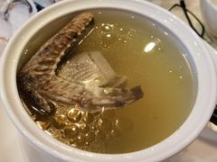 -食家鸽园