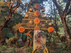 -北海金海湾红树林生态旅游区