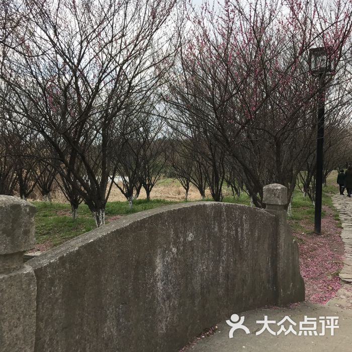 宁波慈湖公园图片