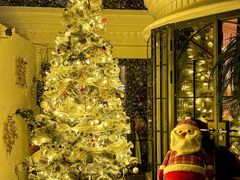 -弦月窗LUNETTE BY AMANDA(复兴路店)