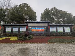 -合肥滨湖国家森林公园