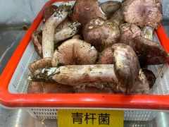 -菌海森林·非遗野生菌火锅(西山区滇池路摩根道店)