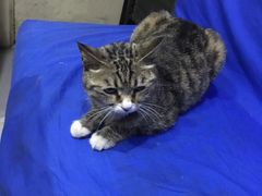 -延成苑韩式烤肉店(长春道店)