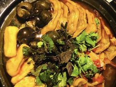 -老表记广西宵夜螺蛳鸭脚煲(西大店)
