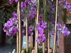 -浅深Cheersum(曹杨店)