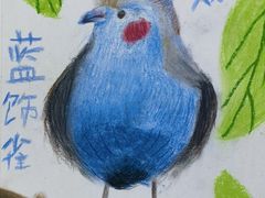 -甲乙果 美术书法(通州校区)