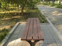 -大望京公园