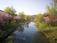 -石塘人家
