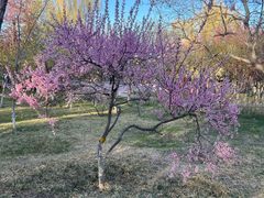 -鲤鱼山公园