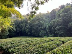 -敬亭山风景名胜区